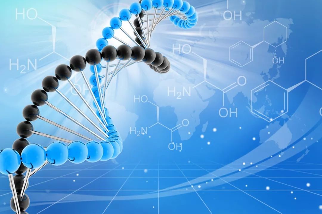 中药相关DNA分子标签和SSR实验介绍
